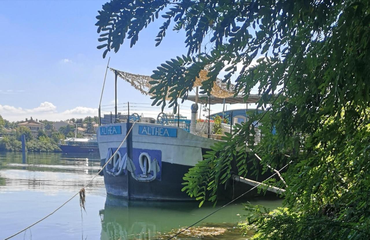 مبيت وإفطار أفينيون Peniche Althea المظهر الخارجي الصورة